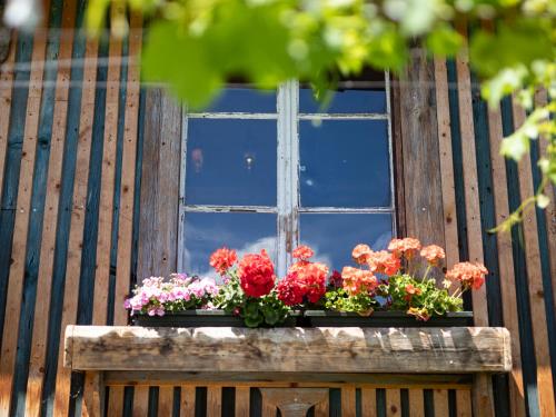 a window with a bunch of flowers on a table at Arzenhof, Baron Di Pauli in Caldaro