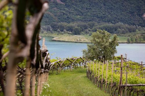 a fence with a bunch of vines next to a lake at Arzenhof, Baron Di Pauli in Caldaro
