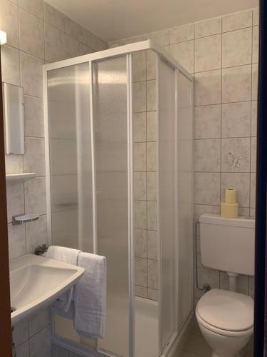 a bathroom with a shower and a toilet and a sink at Bed & Breakfast Plattenhof in Telfs
