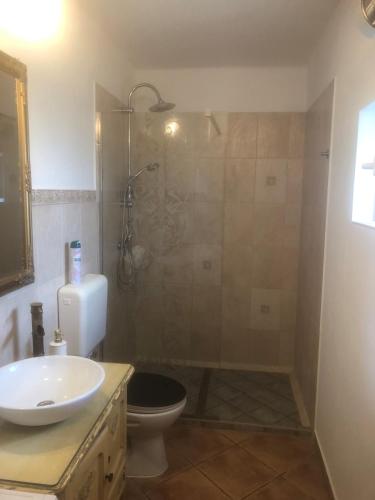 a bathroom with a shower and a toilet and a sink at Öregporta Vendégház in Bazsi