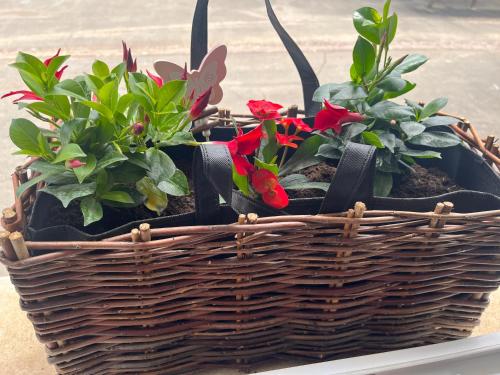 Charmant appartement Cosy porte de Colmarにある庭