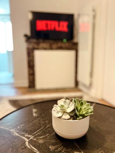 un petit bol blanc avec une plante sur une table dans l'établissement Le cosy et confortable à 15min à pied de la gare, à Valence
