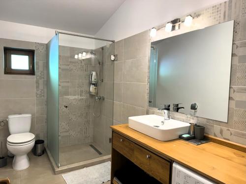 a bathroom with a sink and a shower and a toilet at SOHO Lodge Rasnov in Râşnov