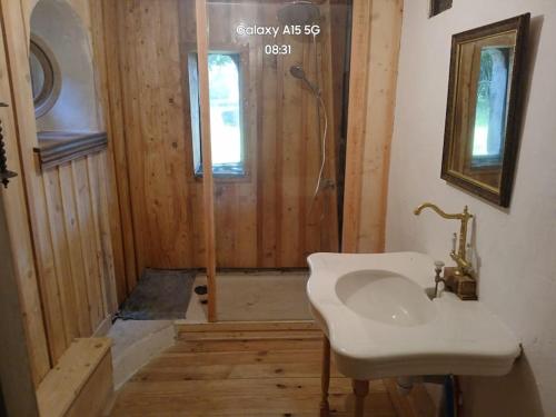 a bathroom with a sink and a shower at Charme en pleine nature in Thauron