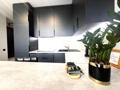 Кухня или мини-кухня в Apartments VIP AVALON
