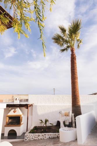 a palm tree sitting next to a white wall at Commercio Suites Santorini in Emporio Santorini
