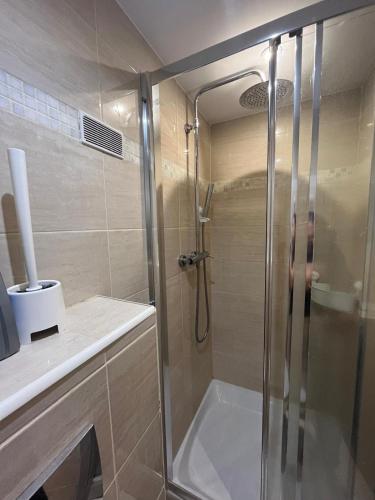 une douche avec une porte vitrée dans une salle de bain dans l'établissement Jolie appartement Nice proche mer et aéroport Une chambre plus salon avec cuisine, à Nice
