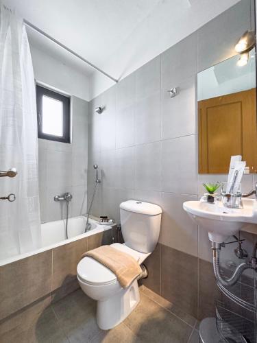a bathroom with a toilet and a sink at Terra Calma Residence 2 in Karistos