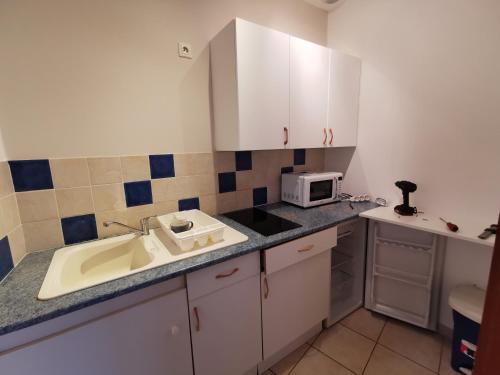 une petite cuisine avec un évier et un micro-ondes dans l'établissement La grange de Joséphine, à Turckheim