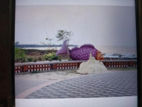 Gallery image of Udupi Home Stay Malpe in Udupi
