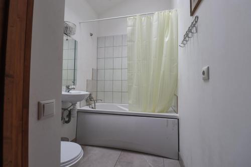ein Bad mit einem Duschvorhang und einem WC in der Unterkunft Brīvdienu namiņš in Saulkrasti