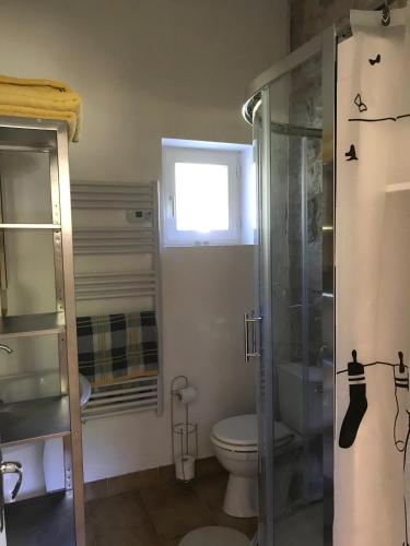 une salle de bain avec toilettes et douche en verre dans l'établissement gite la bergerie en bord d'Aveyron, à Saint-Antonin