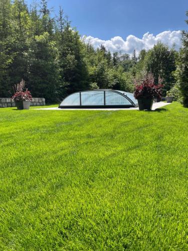 a glass house in a field of green grass at Penzion U Klujů in Věstín
