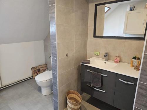 un baño con inodoro y lavabo en Petit Paradis Croneuva, en Estrasburgo