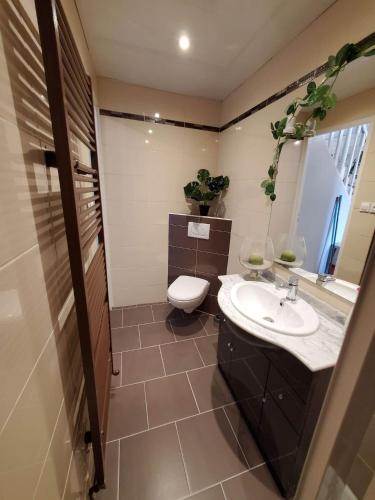 une salle de bain avec toilettes et lavabo dans l'établissement Physis, à Bogny Sur Meuse