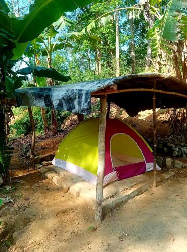 ein Zelt unter einem Tisch im Wald in der Unterkunft Camping Ground @ Eastdee Lidlidda in Lidlidda