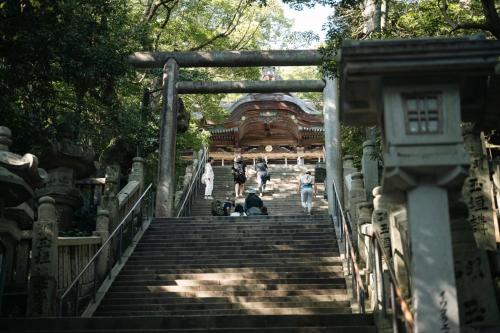 a set of stairs leading to a temple at Kotori Coworking & Hostel Kotohira in Kotohira