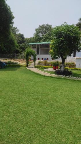a green yard with a building and a tree at Anugraha Homestay in Rāmnagar