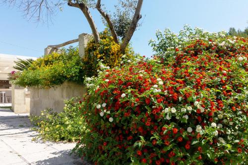 a large bush filled with red and white flowers at La Casina Di Borgagne in Borgagne