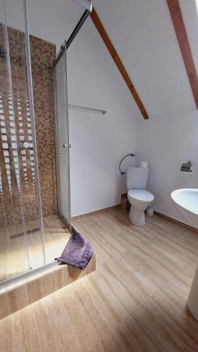 a bathroom with a shower and a toilet and a sink at Pensiunea Királylány Vendégház in Rimetea