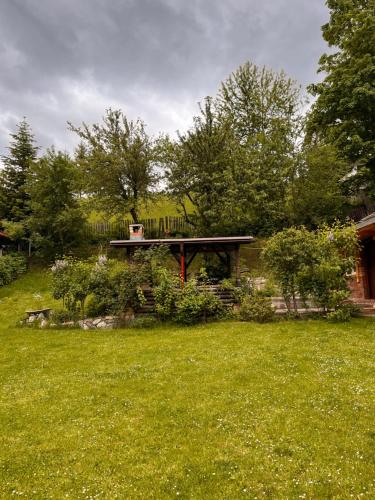 a backyard with a picnic table in the grass at Casuta Azughia in Azuga