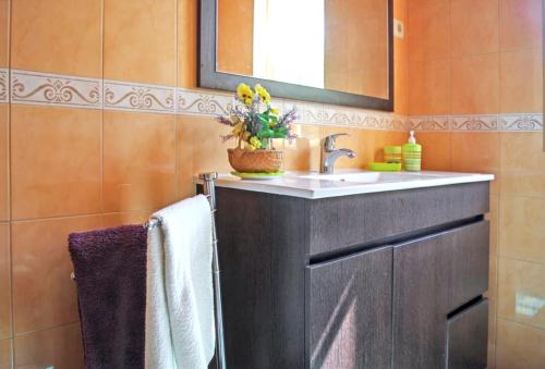 uma casa de banho com um lavatório e um espelho em 3 bedrooms villa with private pool enclosed garden and wifi at Lamego em Lamego
