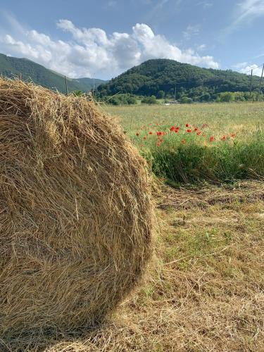 a stack of hay in a field with red flowers at Rifugio La PRINCIPESSA in Morano Calabro