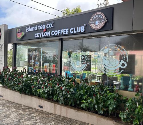 COASTAL COCOON STUDIOに飾ってある許可証、賞状、看板またはその他の書類