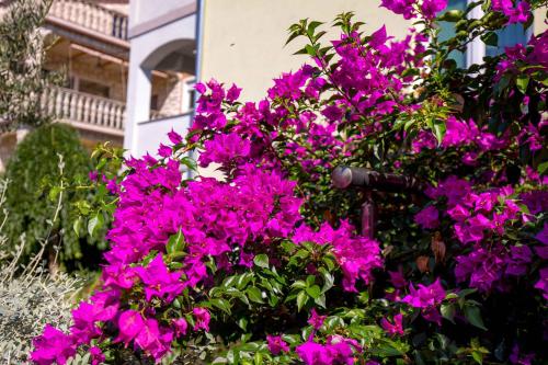 Apartment in Kraljevica 33071