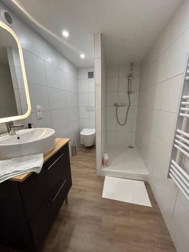 une salle de bain avec un lavabo, une douche et des toilettes dans l'établissement Cesanne Amnéville proximité A31 Thermes Lux, à Amnéville
