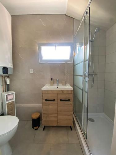 une salle de bain avec un lavabo, une douche et des toilettes dans l'établissement Les Embruns - Studio avec jardin, à Ouistreham