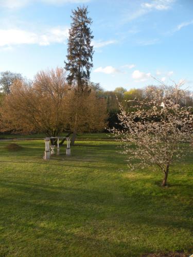 un parque con un árbol y un banco en el césped en APPARTEMENT AVEC VUE à 180 DEGRES SUR UN PARC ARBORE CALME PARKING, en Senlis