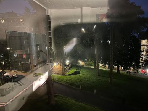 a window with a view of a park at night at Zion Property in Sydenham