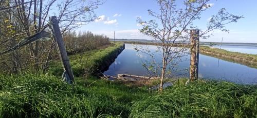 a river with two wooden posts in the grass at Casa Vacanze Nel Delta del Po in Taglio di Po