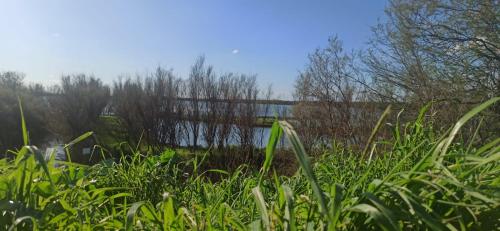 a field of grass with a river in the background at Casa Vacanze Nel Delta del Po in Taglio di Po