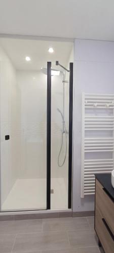 une salle de bain avec une douche avec une porte vitrée dans l'établissement Grand Bleu 2 - Agreable appartement vue mer - piscine - parking, à Les Sables-dʼOlonne
