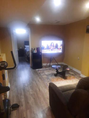 布蘭普頓的住宿－One bedroom basement suite，带沙发和平面电视的客厅