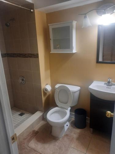 布蘭普頓的住宿－One bedroom basement suite，一间带卫生间和水槽的浴室