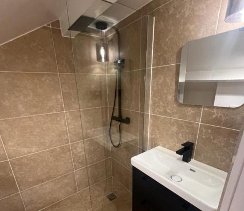 une salle de bain avec douche et lavabo dans l'établissement Géranimus 36A : Heart of Paris, à Paris