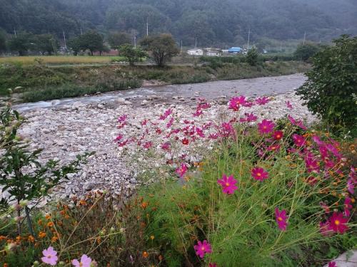 Gallery image of Danyang Forest 67 in Danyang