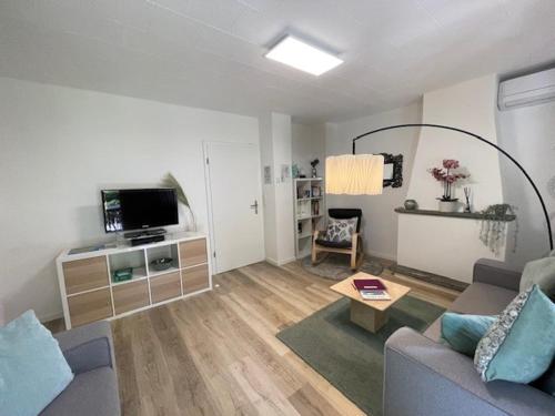 ein Wohnzimmer mit einem Sofa und einem TV in der Unterkunft Ascona Casa Cristina in Ascona