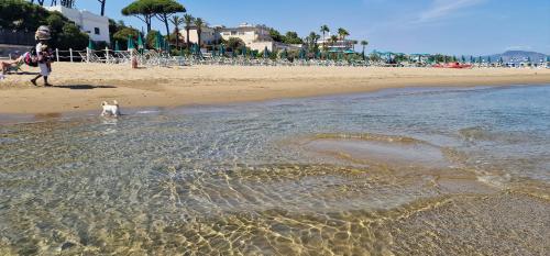 Gallery image of Villa Argentina in San Felice Circeo