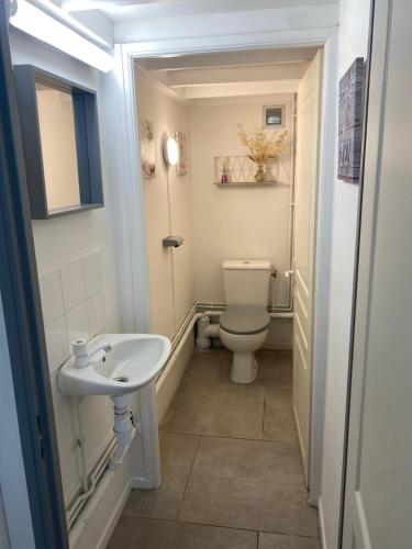 une salle de bain avec toilettes et lavabo dans l'établissement L appart d Ange 1 idéalement situe 37m2 entre port et village, à Gruissan