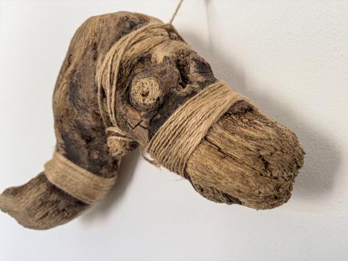 a piece of rope hanging on a wall at Calascoglietti in Stintino