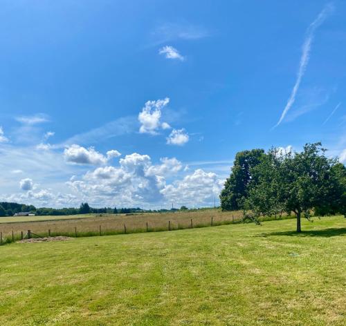 a field with a tree and a fence at Gite Cosy Forme et Bien-etre in Masseret