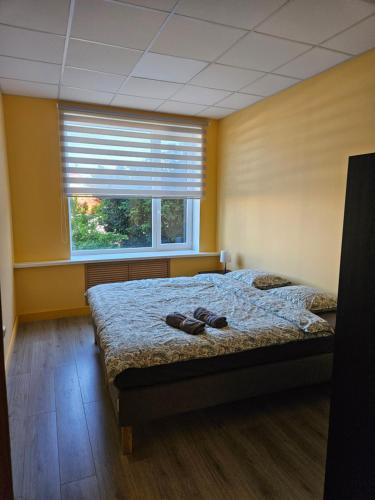 Billede fra billedgalleriet på Rojas kuģu piestātne i Roja