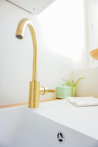 d'un évier avec un robinet en or. dans l'établissement -LE SENTIER- Elegant T3 avec jardin proche mer, à Concarneau
