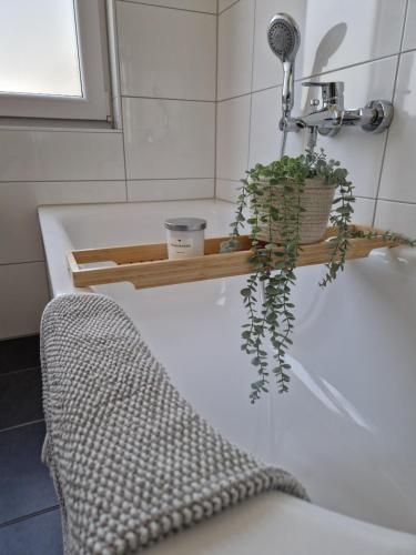 a plant sitting on a shelf next to a bath tub at Moderne Wohnung mit Sauna in Zülpich