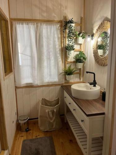 une petite salle de bain avec un lavabo et un miroir dans l'établissement Typique maison de pêcheur, au Le Verdon-sur-Mer
