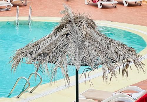 Amazing Complex Costa Adeje Pool view & Relax